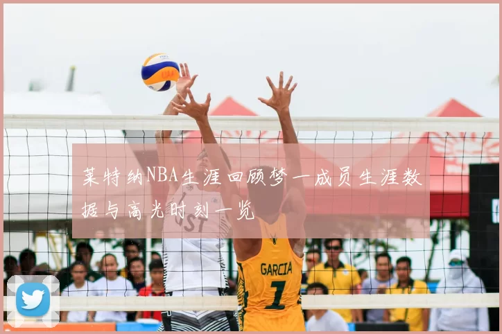 莱特纳NBA生涯回顾梦一成员生涯数据与高光时刻一览