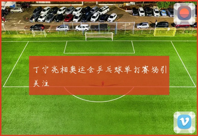 丁宁亮相奥运会乒乓球单打赛场引关注